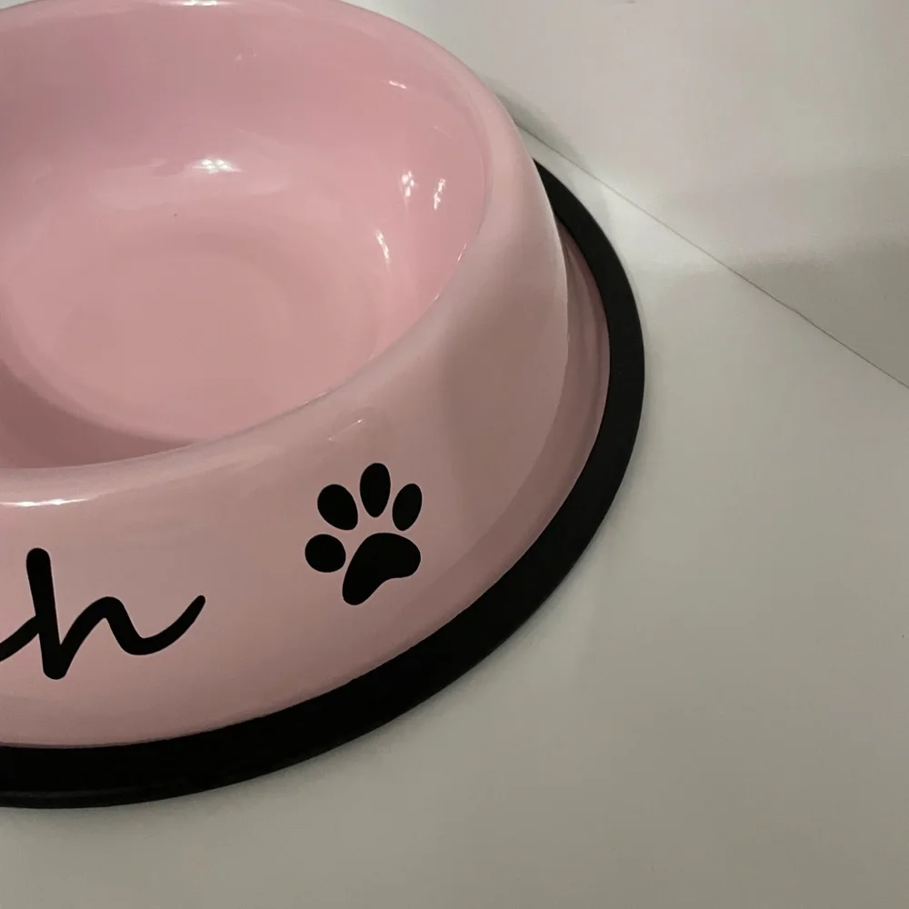 Pet feeding bowl